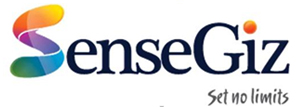 SenseGiz